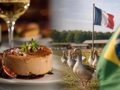 Brasil proíbe produção e venda de foie gras a partir de janeiro de 2027.