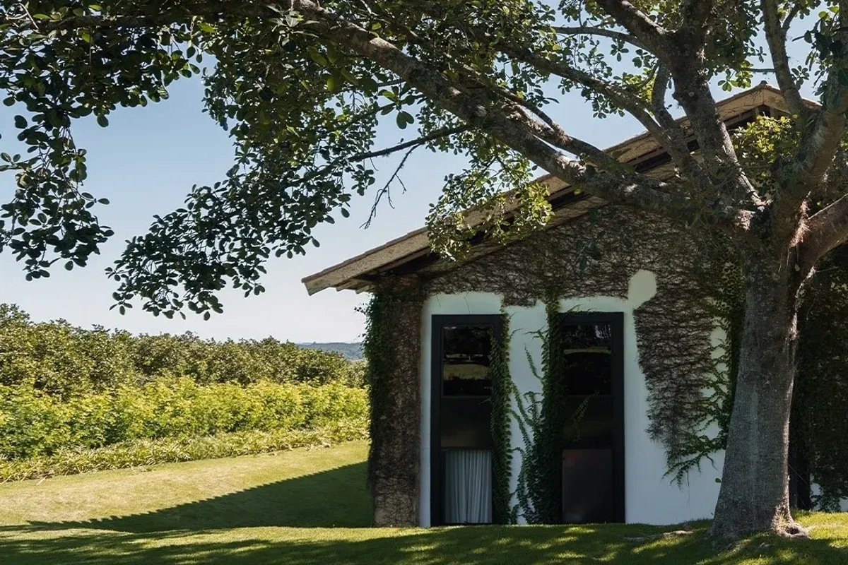 Casa integrada à vegetação na Fazenda Santa Helena