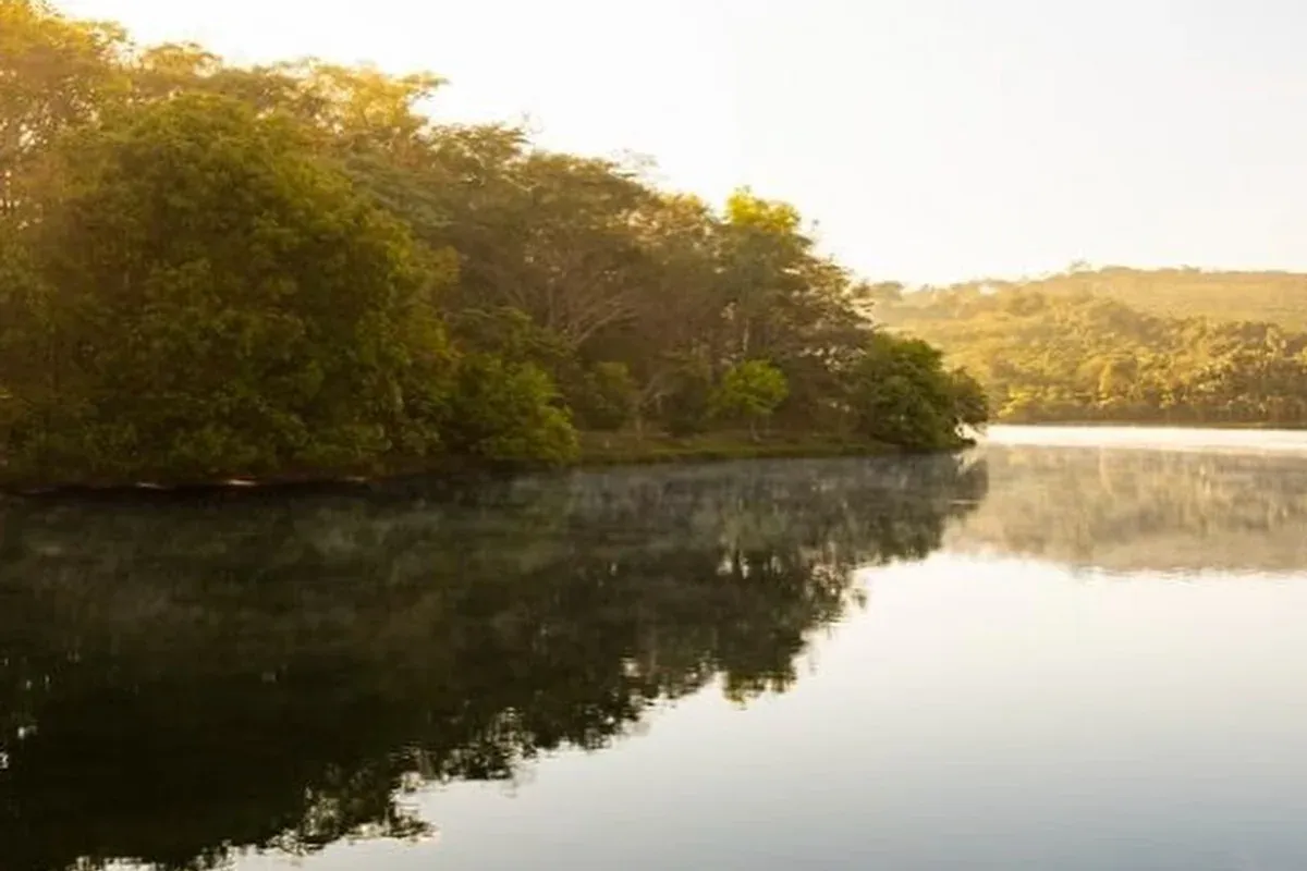 Lago cercado por vegetação na Fazenda Santa Helena
