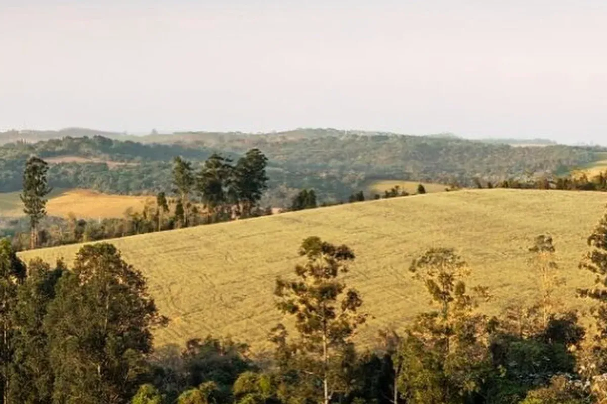 Paisagem de serras e áreas verdes da Fazenda Santa Helena em Bragança Paulista