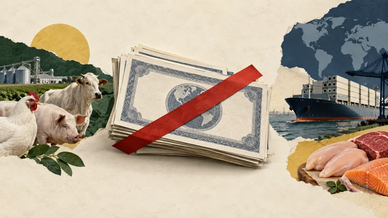 Colagem editorial clean sobre mbrf cancela oferta de recompra de títulos com vencimento em 2029