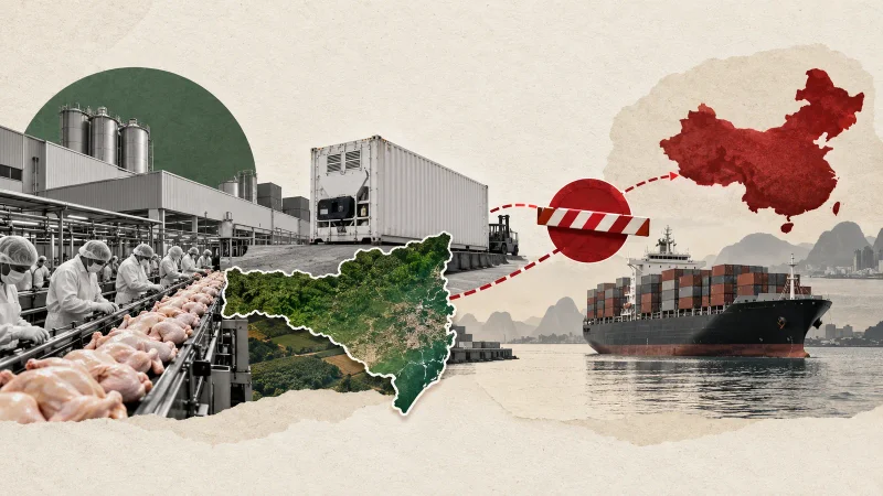 Colagem minimalista com frango, contêiner refrigerado, mapa de Santa Catarina e seta de exportação para a China