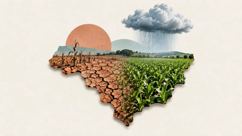 Colagem ilustrativa: El Niño muito forte põe safra e logística em alerta