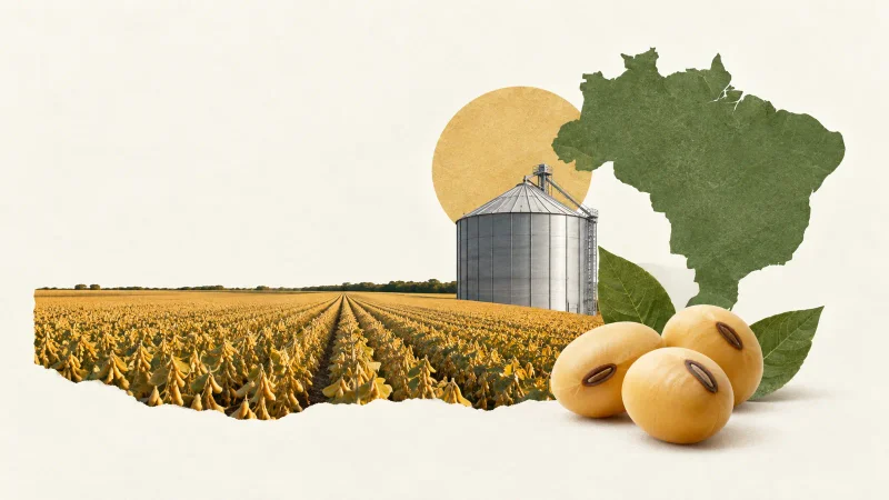 Colagem clean com lavoura de soja, silo e mapa do Brasil