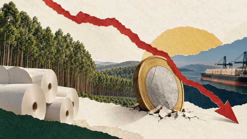 Colagem editorial clean sobre suzb3 cai mais de 5% com valorização do real